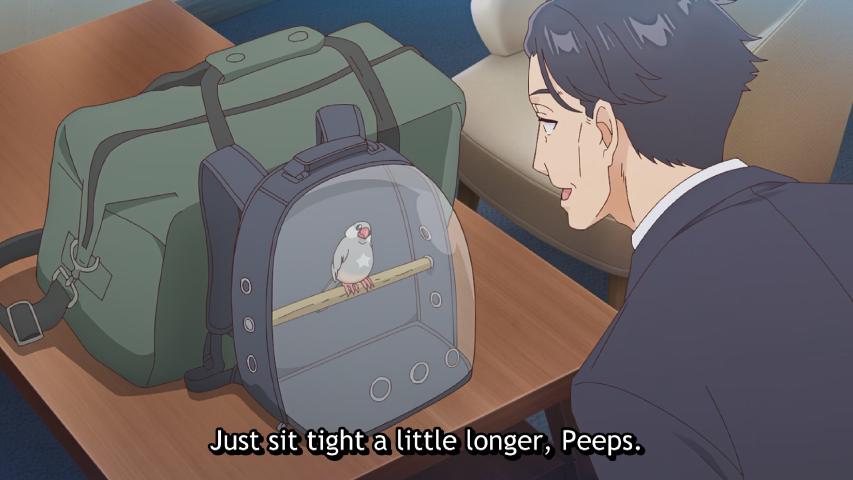 bird uses magic